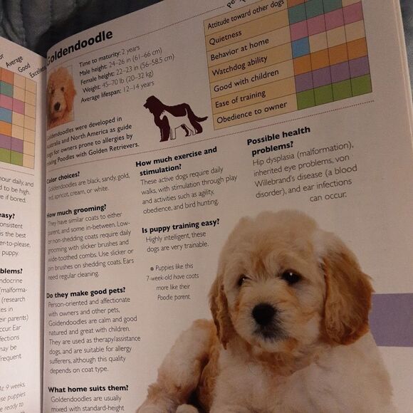 Puppy Adoption Resource‎ Book Sara John Barron's Educ Series (2013) - Picture 4 of 5